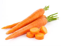 carrot
