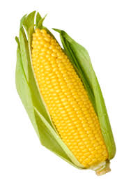 corn